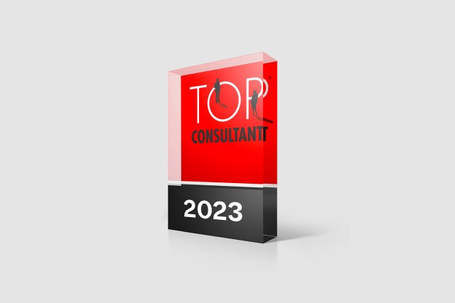 top-consultant-2023-1